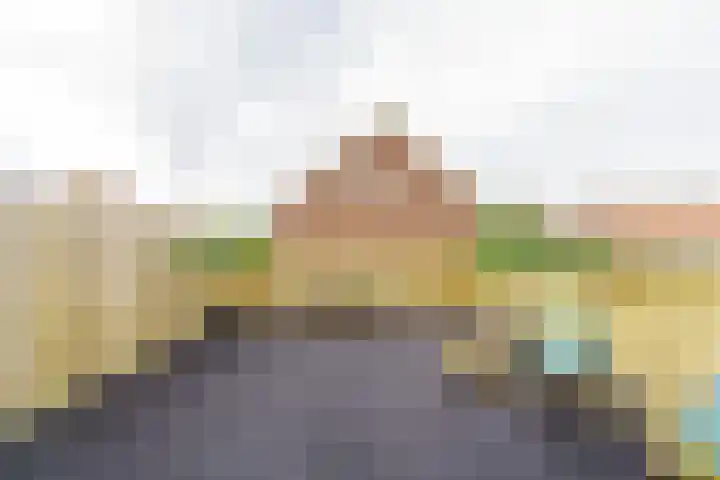 Vergierdeweg 207 Haarlem thumbnail 12