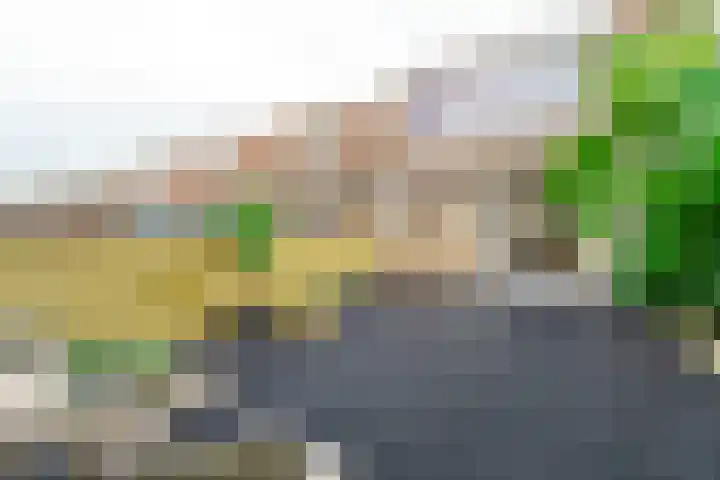 Vergierdeweg 207 Haarlem thumbnail 13