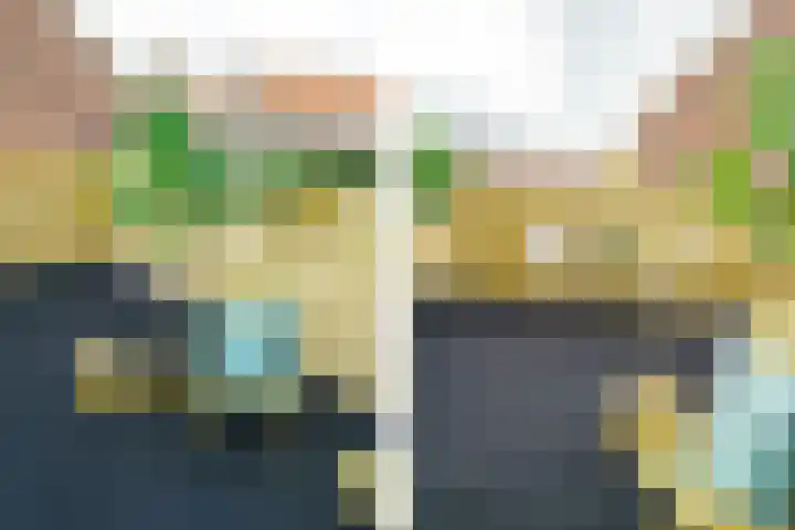 Vergierdeweg 207 Haarlem thumbnail 14