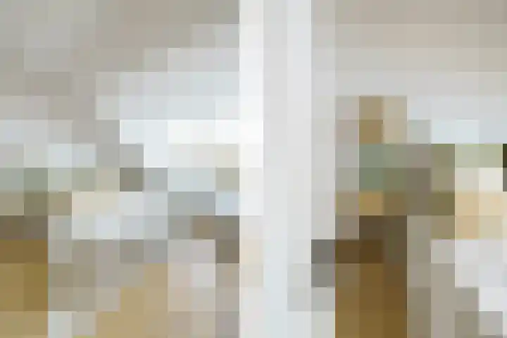 Vergierdeweg 207 Haarlem thumbnail 16