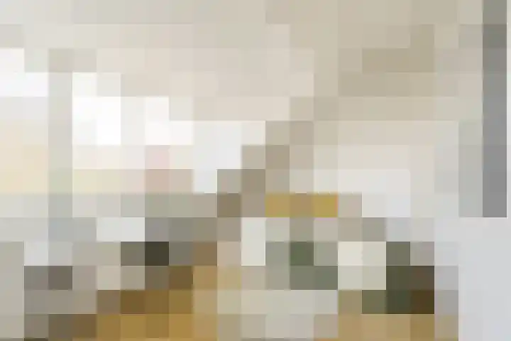 Vergierdeweg 207 Haarlem thumbnail 18
