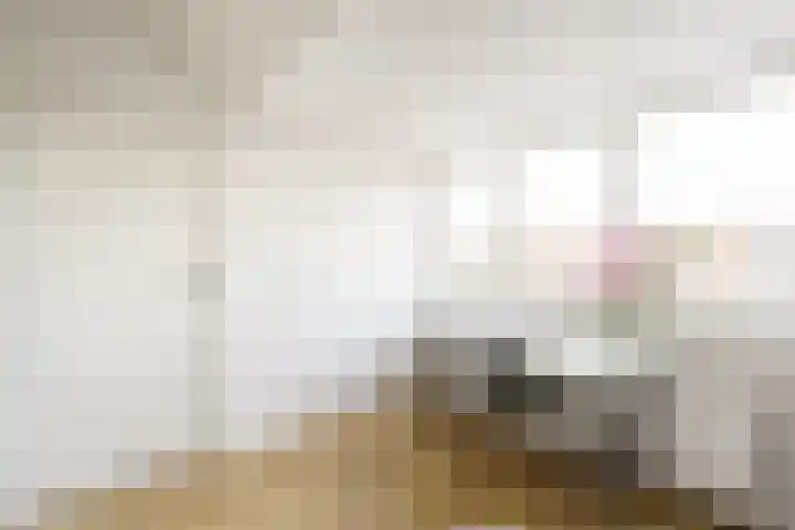 Vergierdeweg 207 Haarlem thumbnail 19
