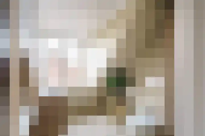 Vergierdeweg 207 Haarlem thumbnail 21
