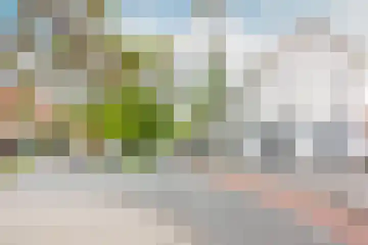 Vergierdeweg 207 Haarlem thumbnail 23
