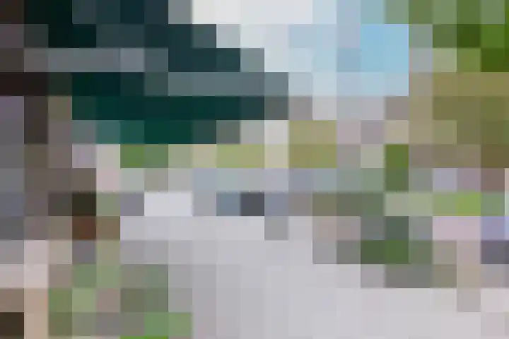 Vergierdeweg 207 Haarlem thumbnail 24