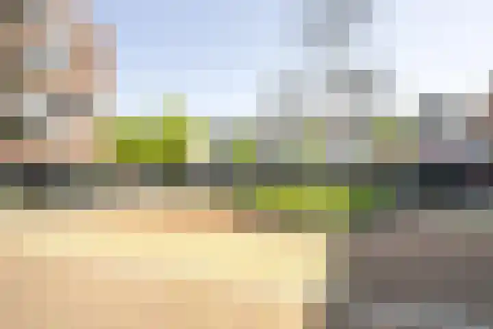 Vergierdeweg 207 Haarlem thumbnail 26