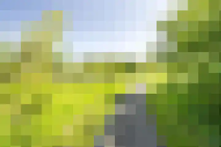 Vergierdeweg 207 Haarlem thumbnail 27
