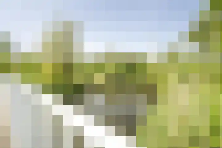 Vergierdeweg 207 Haarlem thumbnail 28