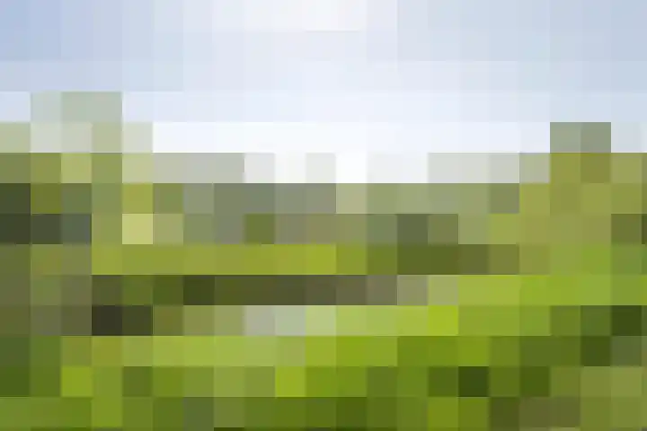 Vergierdeweg 207 Haarlem thumbnail 29