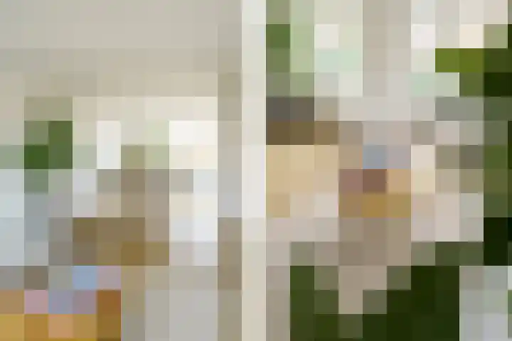 Vergierdeweg 207 Haarlem thumbnail 5