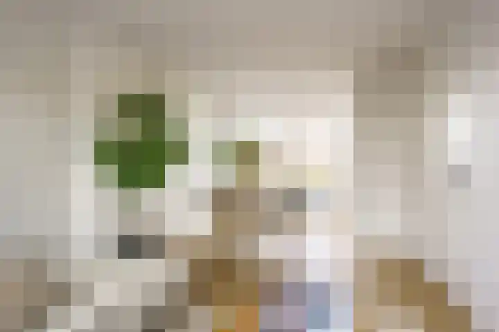Vergierdeweg 207 Haarlem thumbnail 6