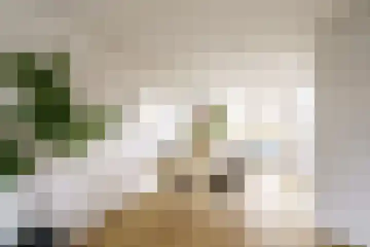 Vergierdeweg 207 Haarlem thumbnail 7
