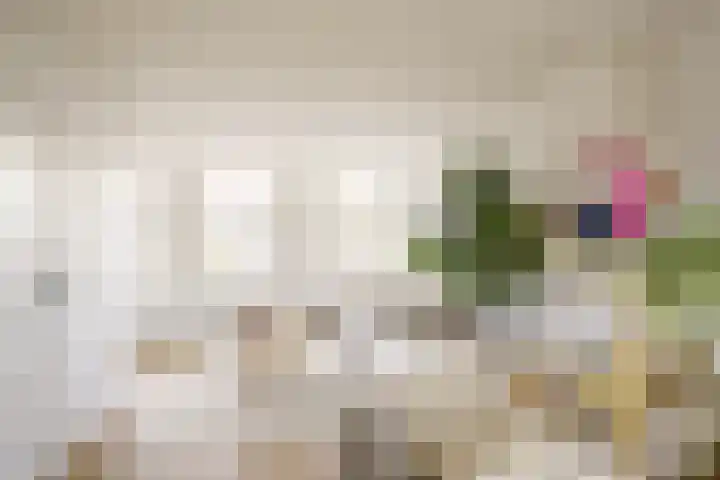 Vergierdeweg 207 Haarlem thumbnail 8