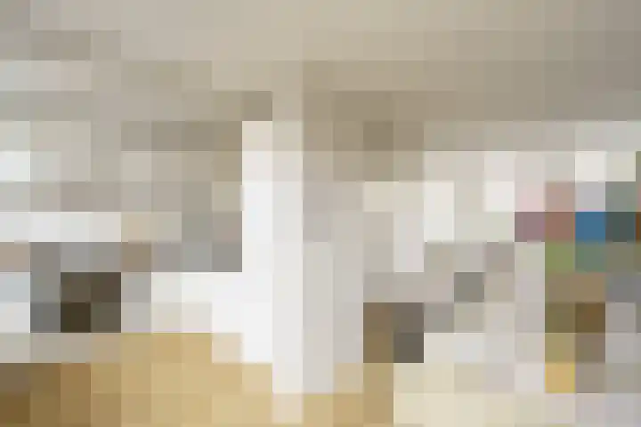 Vergierdeweg 207 Haarlem thumbnail 9