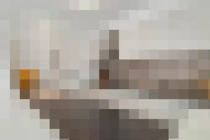 Vergierdeweg 254 Haarlem thumbnail 17