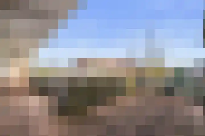 Vergierdeweg 254 Haarlem thumbnail 26