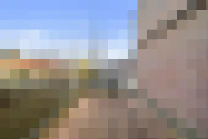Vergierdeweg 254 Haarlem thumbnail 27