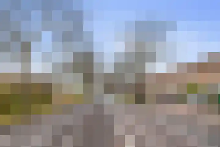 Vergierdeweg 254 Haarlem thumbnail 34