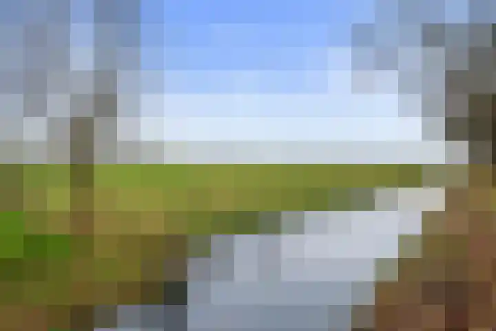 Vergierdeweg 254 Haarlem thumbnail 35
