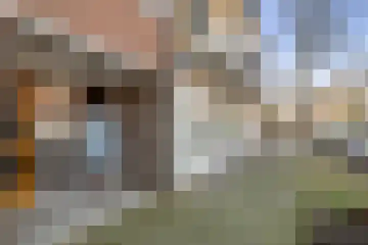 Vergierdeweg 254 Haarlem thumbnail 5