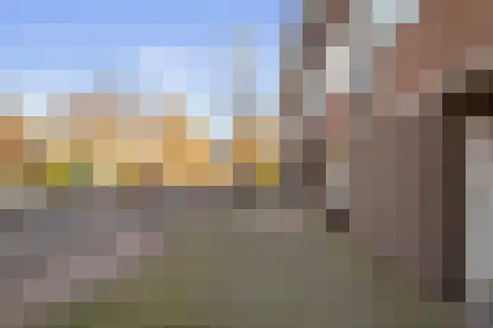 Vergierdeweg 254 Haarlem thumbnail 7