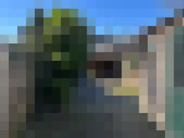 Vergierdeweg 35 Haarlem thumbnail 5