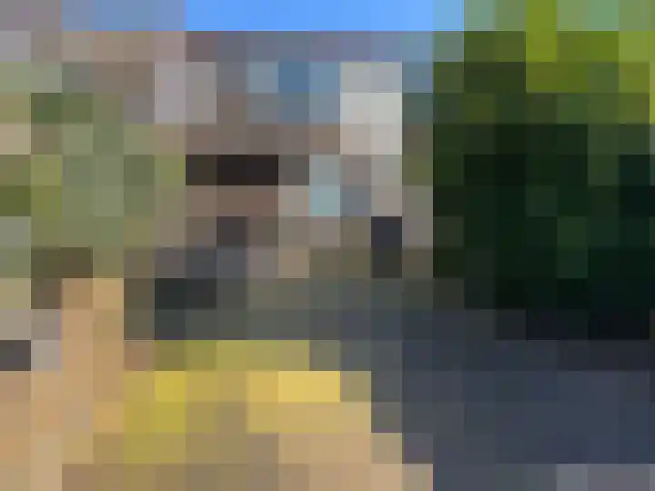 Vergierdeweg 35 Haarlem thumbnail 7