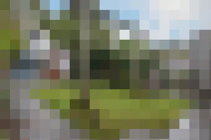 Vergierdeweg 37 Haarlem thumbnail 15
