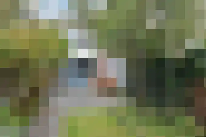 Vergierdeweg 37 Haarlem thumbnail 17