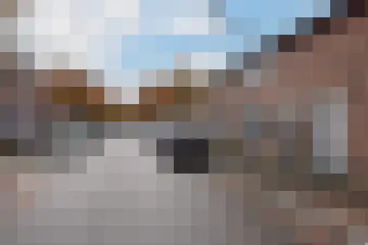 Vergierdeweg 37 Haarlem thumbnail 18