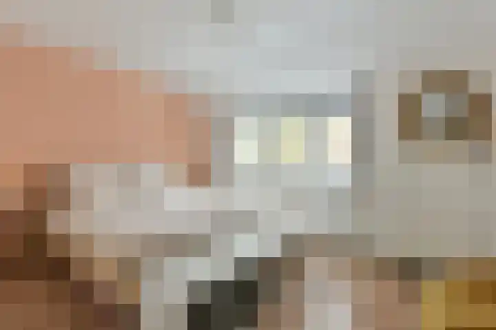 Vergierdeweg 37 Haarlem thumbnail 9