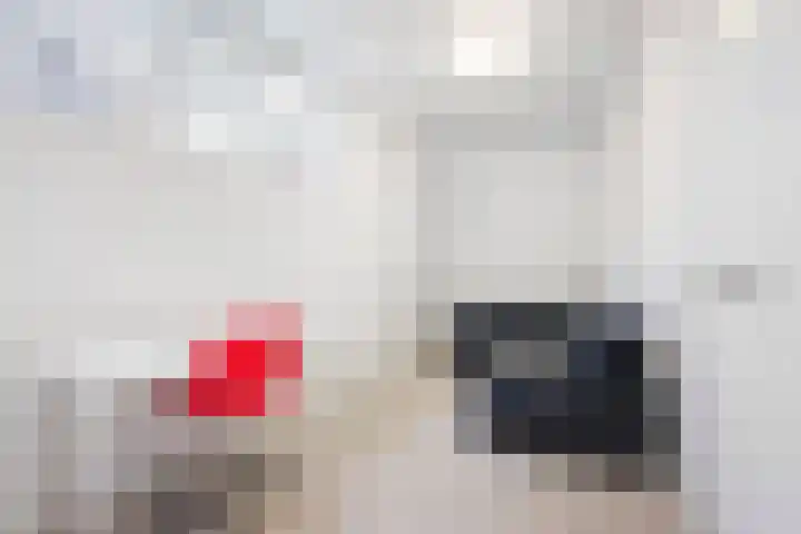 Vergierdeweg 7 Haarlem thumbnail 16