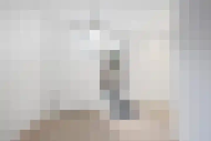 Vergierdeweg 7 Haarlem thumbnail 17