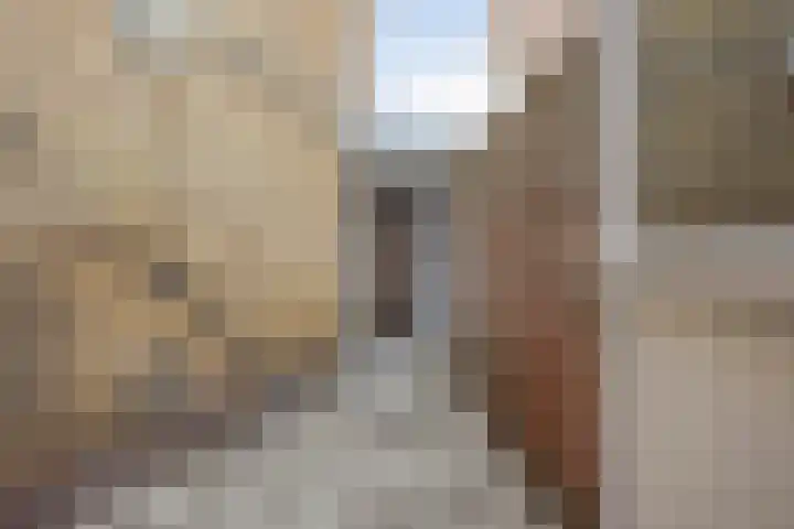 Vergierdeweg 7 Haarlem thumbnail 18