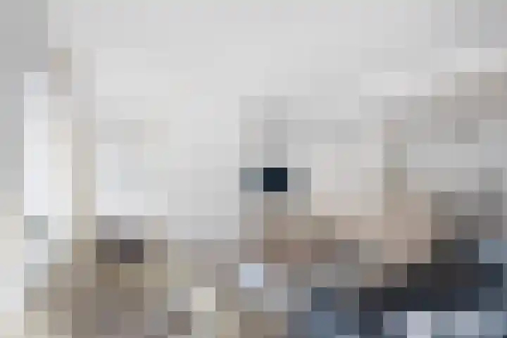Vergierdeweg 7 Haarlem thumbnail 4