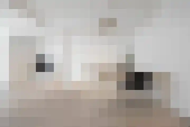Vergierdeweg 7 Haarlem thumbnail 7