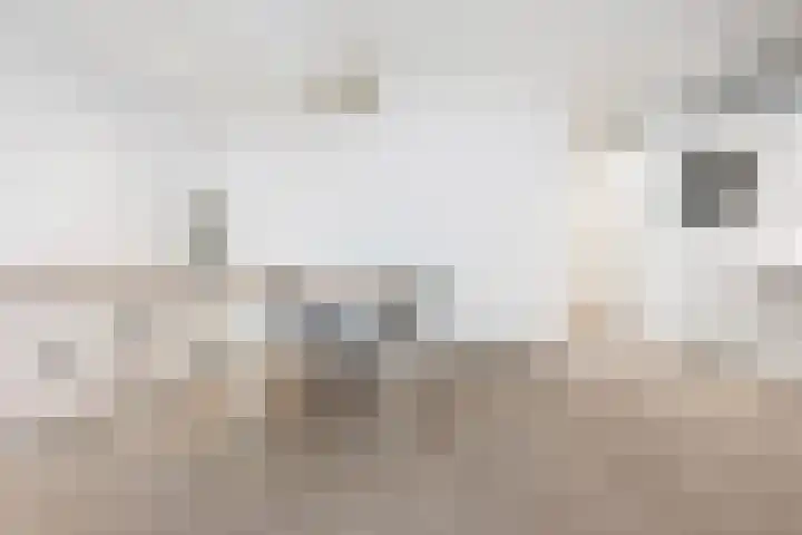 Vergierdeweg 7 Haarlem thumbnail 8