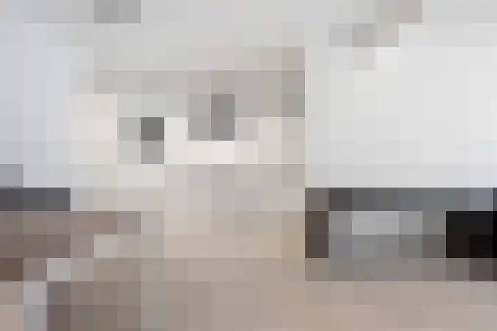 Vergierdeweg 7 Haarlem thumbnail 9