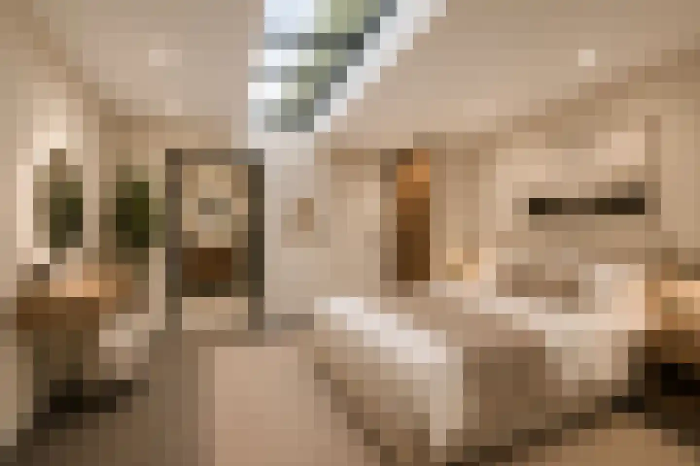 Vergierdeweg 87 Haarlem thumbnail 17