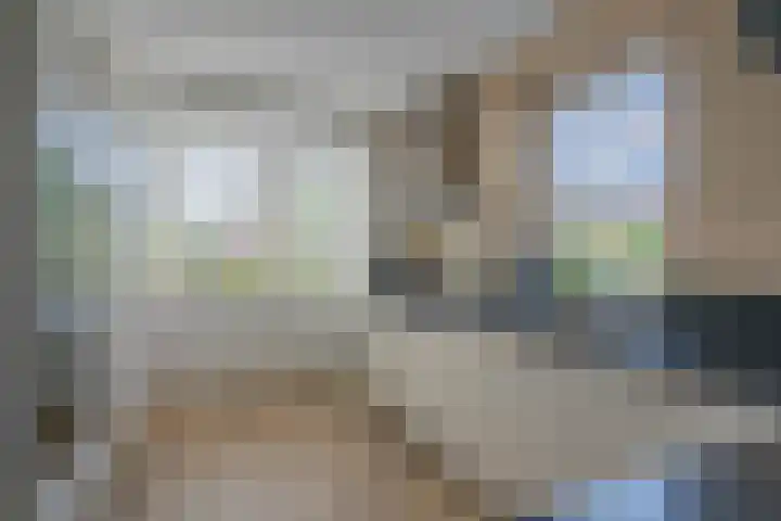 Vergilius 17 Noordwijkerhout thumbnail 11