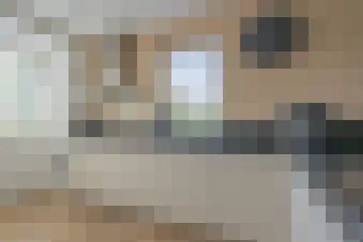 Vergilius 17 Noordwijkerhout thumbnail 12