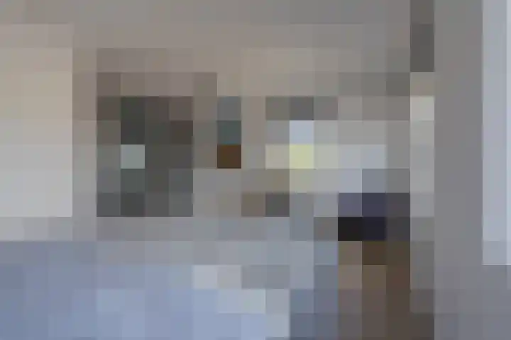 Vergilius 17 Noordwijkerhout thumbnail 17