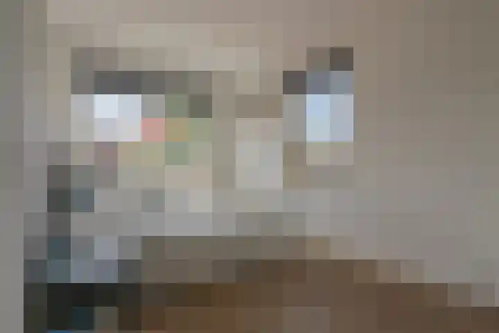 Vergilius 17 Noordwijkerhout thumbnail 18