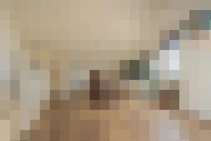 Vergilius 17 Noordwijkerhout thumbnail 24