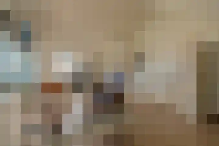 Vergilius 17 Noordwijkerhout thumbnail 25