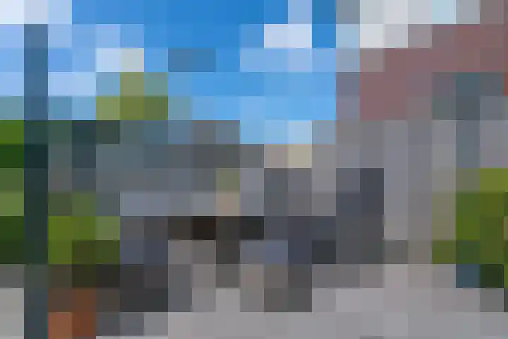 Vergilius 17 Noordwijkerhout thumbnail 29
