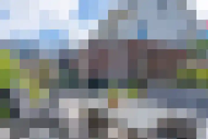Vergilius 17 Noordwijkerhout thumbnail 30