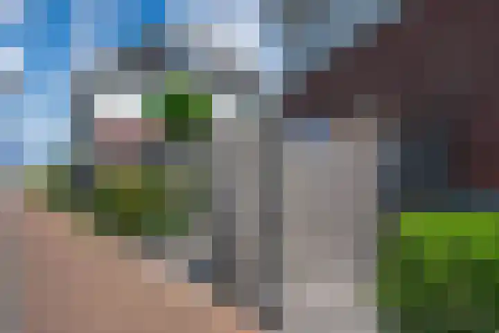 Vergilius 17 Noordwijkerhout thumbnail 32