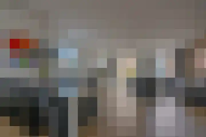 Vergilius 17 Noordwijkerhout thumbnail 4