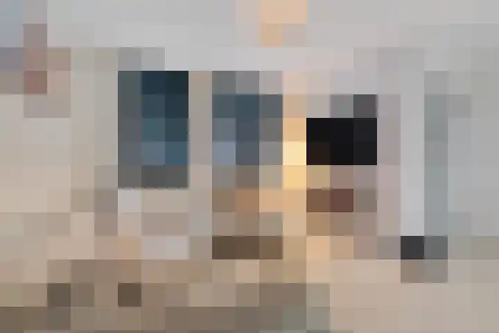 Vergiliushof 11 A Maastricht thumbnail 12
